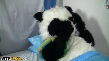 Грязный секс для лечения больной панды